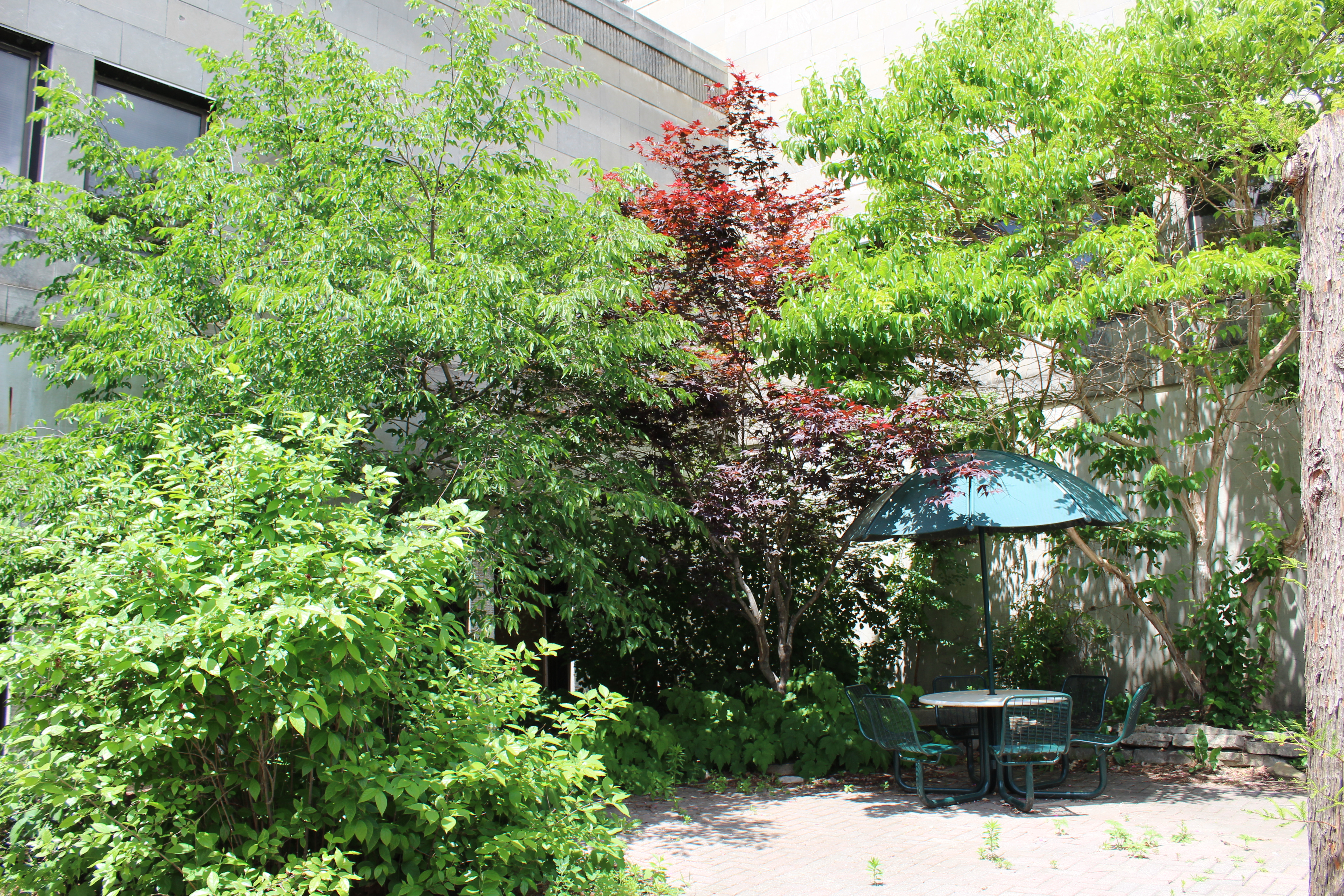 context photo